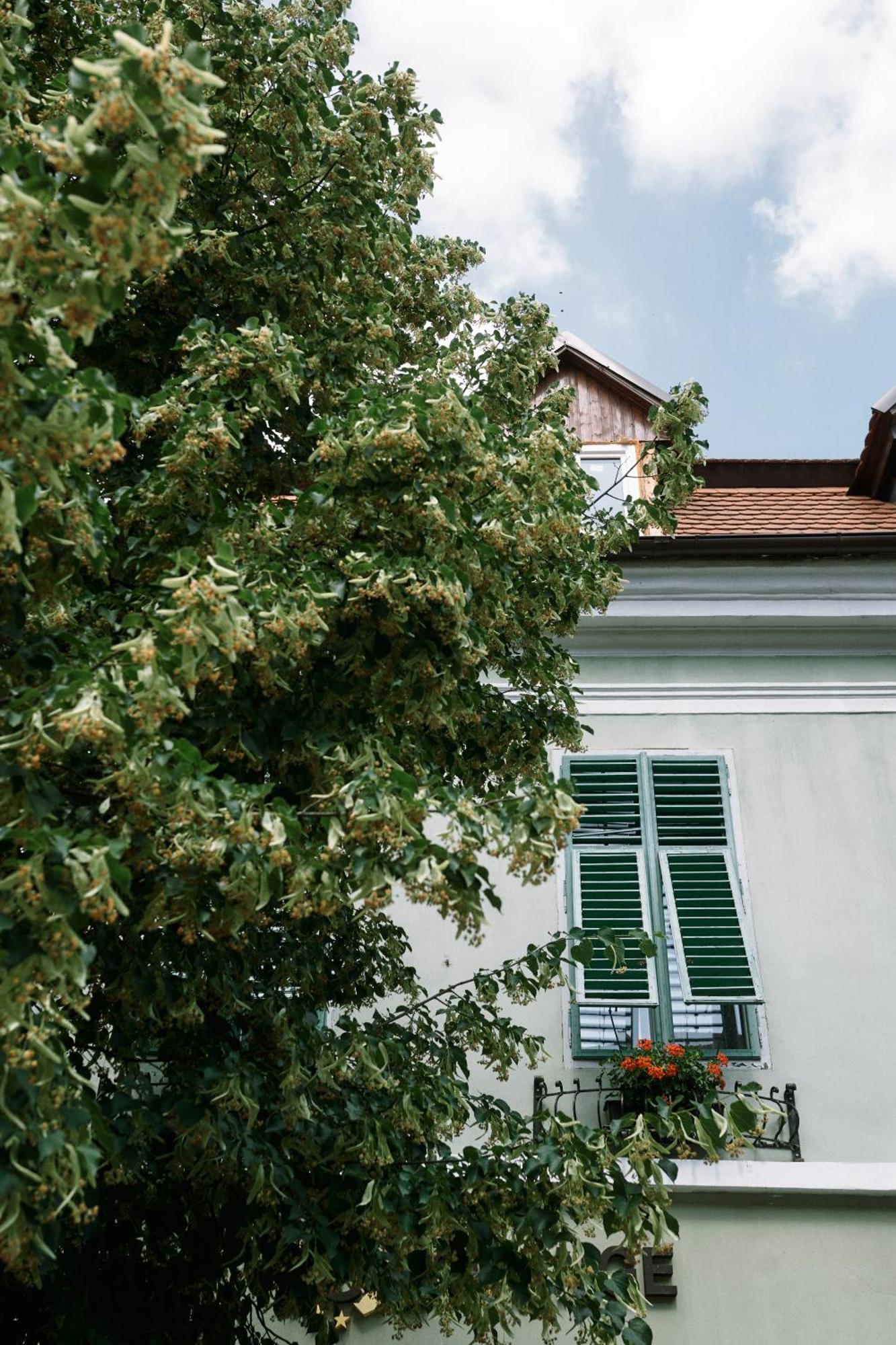 Ferienwohnung Moldos Haus Hermannstadt Exterior foto